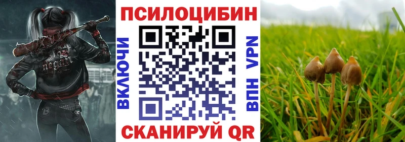 Псилоцибиновые грибы мухоморы  Купить где  Советский 